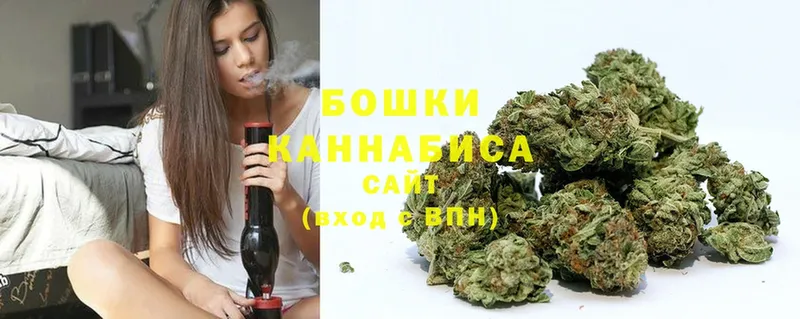 Бошки марихуана THC 21%  Новокубанск 